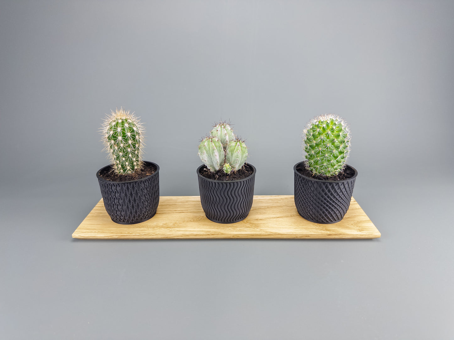 Ekbricka & Krukor i Stilren Design