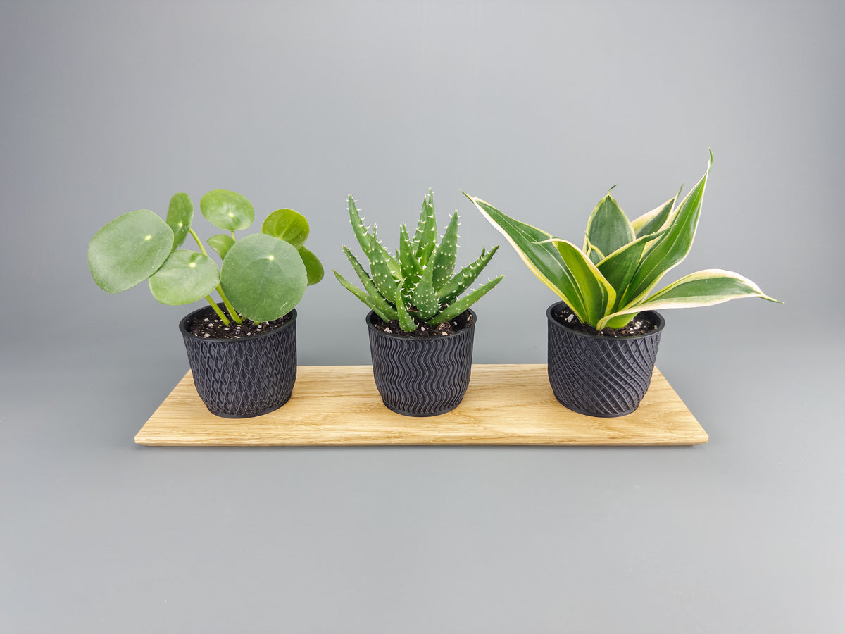 Ekbricka & Krukor i Stilren Design
