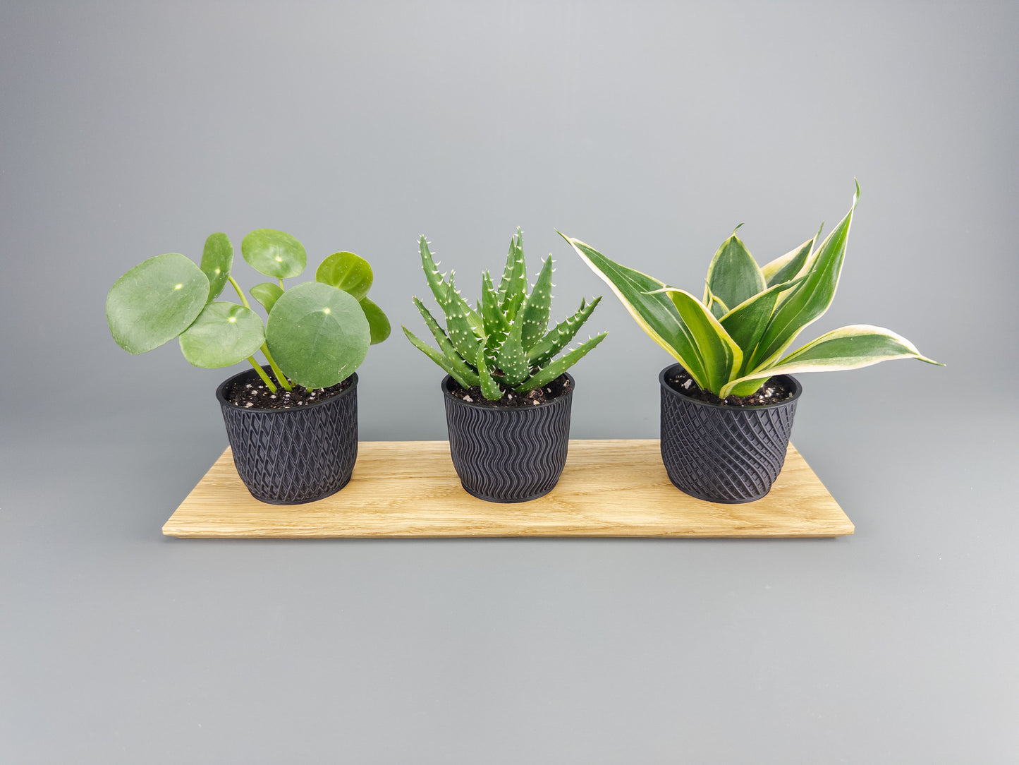 Ekbricka & Krukor i Stilren Design