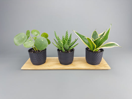 Ekbricka & Krukor i Stilren Design