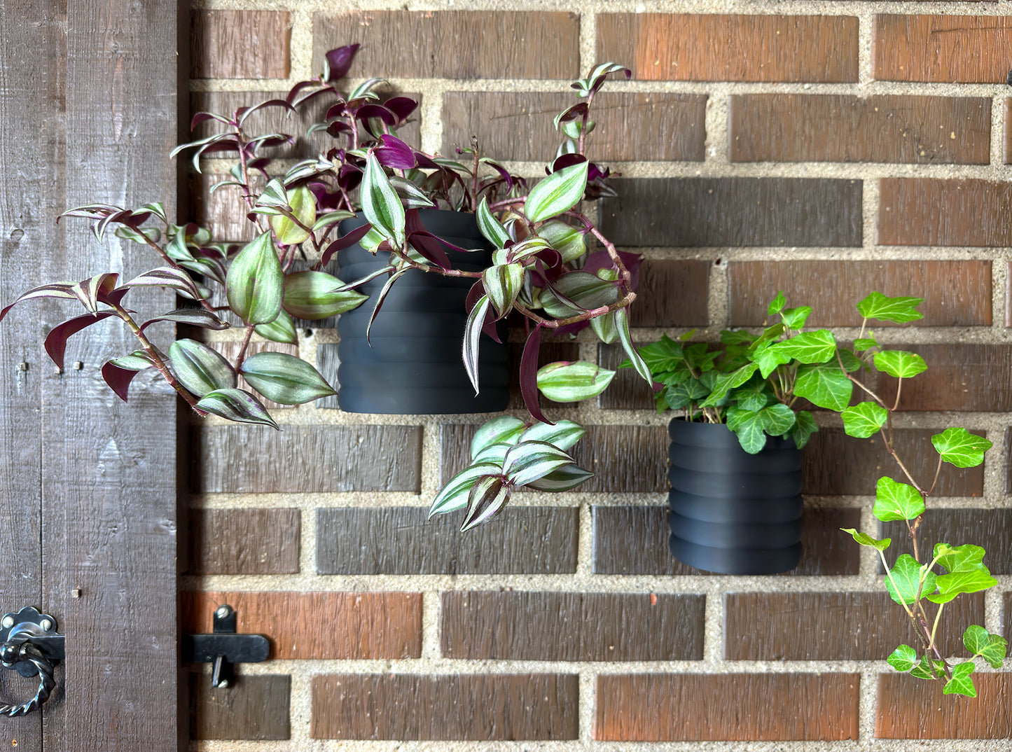 Väggkruka med droppskål - Ribby