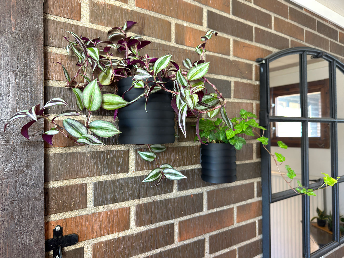 Väggkruka med droppskål - Ribby