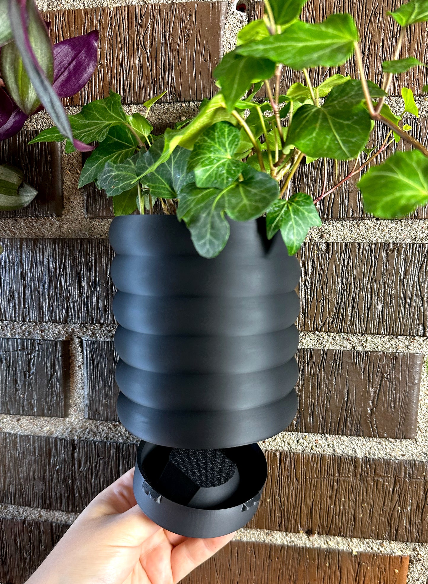 Väggkruka med droppskål - Ribby