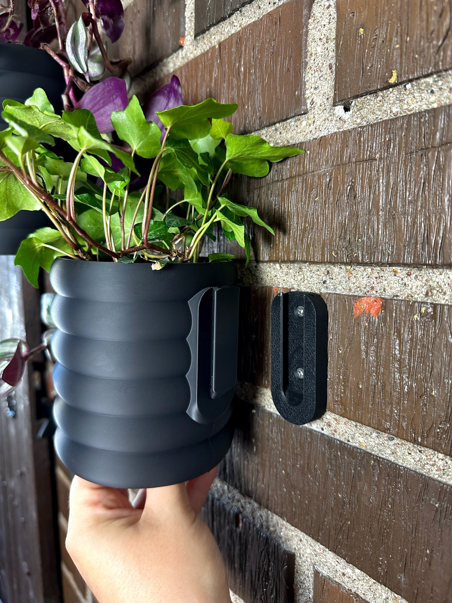 Väggkruka med droppskål - Ribby